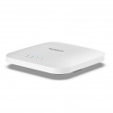 Netgear WAX214